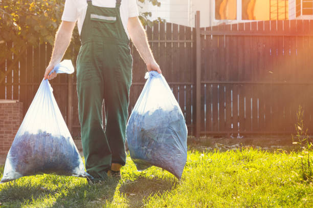 Shed Removal in Irving, TX